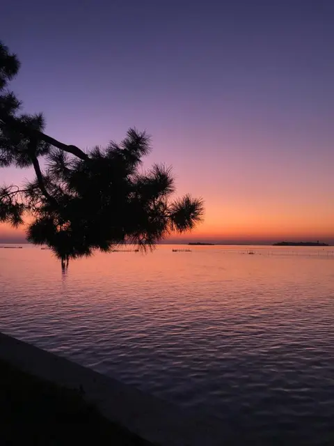 Lagoon View Apartment