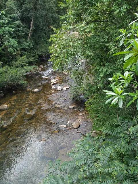 Cinnamon Village Sinharaja