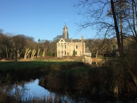 de Duinroos