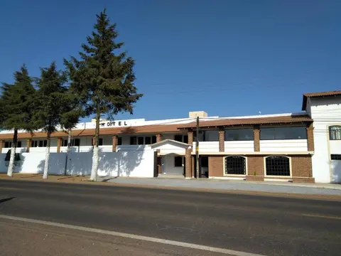 Hotel Los Pinos