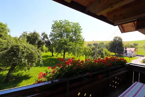Ferienwohnungen Berger