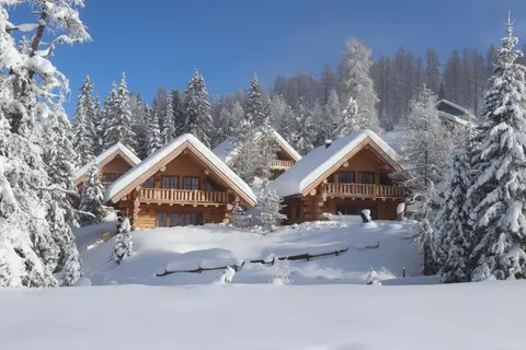 Almzauber Chalets - Haus Enzian inkl Infrarotliegen
