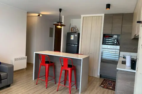 Arriendo departamento excelente ubicación por día