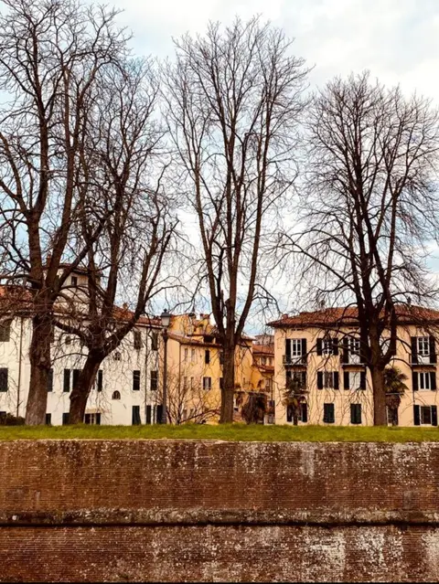 La Terrazza di Sofia