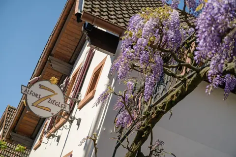 Das Palatinum
