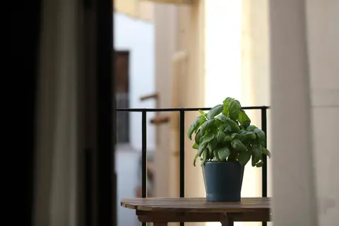 Turna Apartment