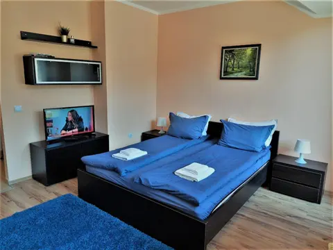 VALENTINA`S STUDIO in "BOROVETS GARDENS" hotel