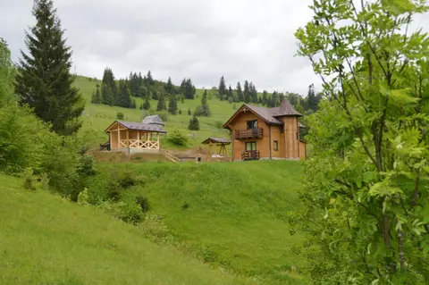 Пагорб Їжака / Hedgehog Hill