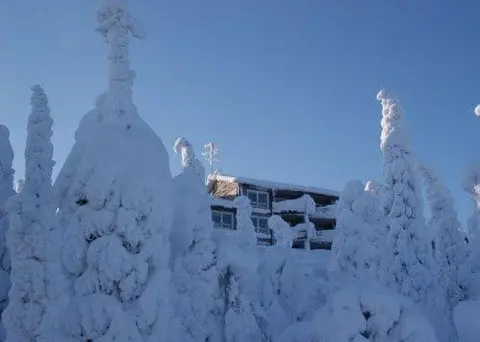 The Peak House