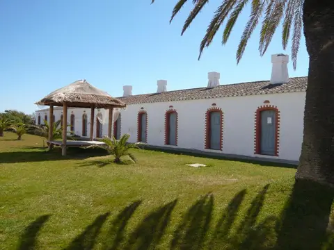 Terrace Villa 19B