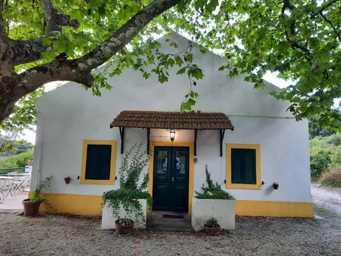 Montejunto Villas - Casa do Plátano