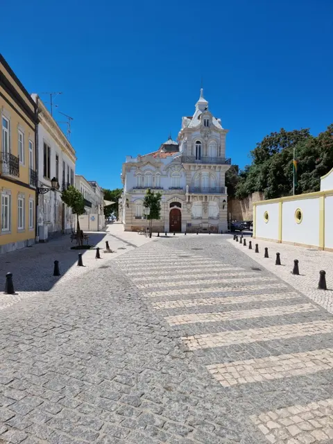 The Portuguese Element