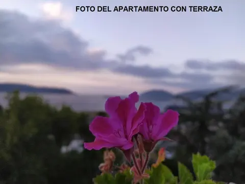 Rua Granxas, n 13, Piso con terraza o Estudio sin terraza