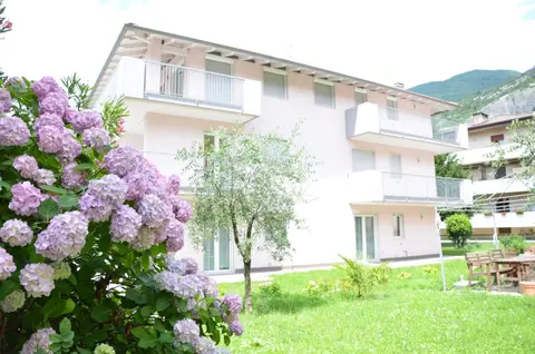 Geranio-Buganville