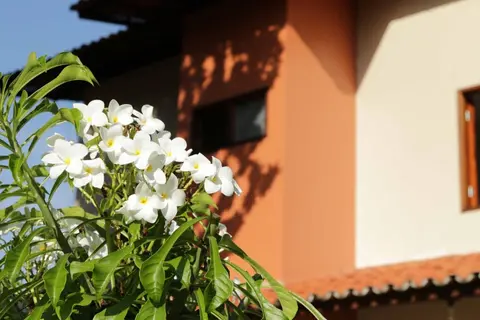 Hotel Jardim
