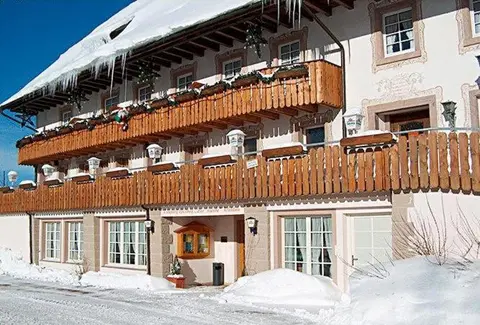ZUR TRAUBE Schwarzwaldhotel & Restaurant am Titisee