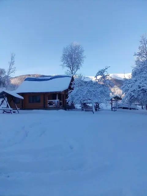 Cottage Лісовий