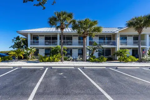 Come Stay Where the Dolphins Play!