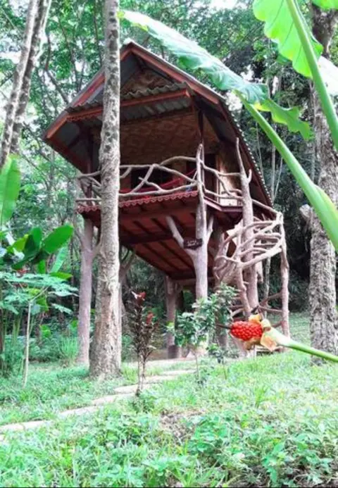 Treehouse Holidays-Love Nest