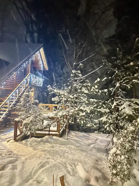 Chalet Mlyn