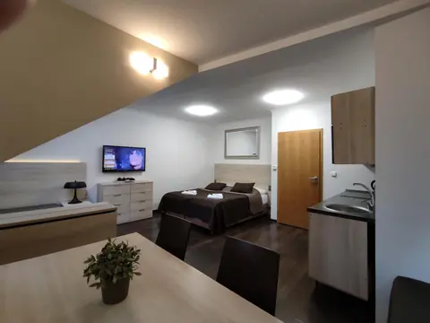 Anenský Apartmán C303 s wellness , O2 TV a stabilní rychlou WIFI, s možností dokoupení snídaní a s možností dokoupení masáží