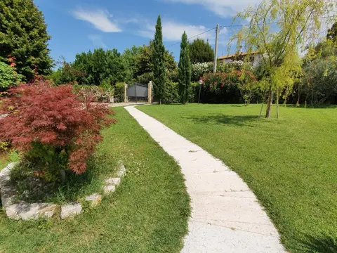 Bardolino Golden Hill