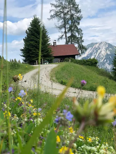 Jagdhütte Gammeringalm
