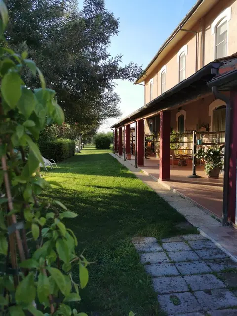 Podere Montecorno