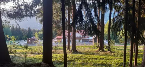 Poiana Brazilor