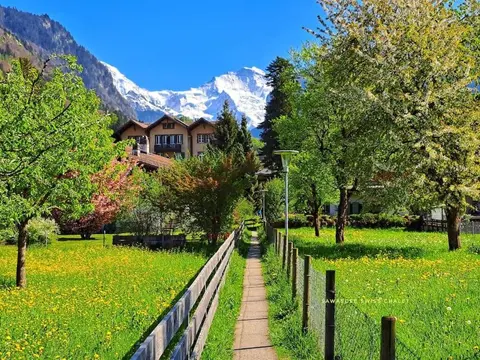 Sawasdee Swiss Chalet Wilderswil