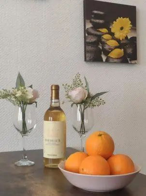 Apartment for Guests (2)