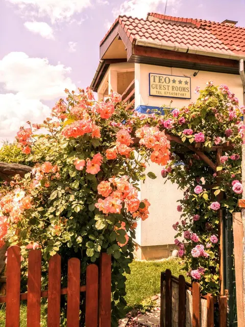 Teo Guest Rooms