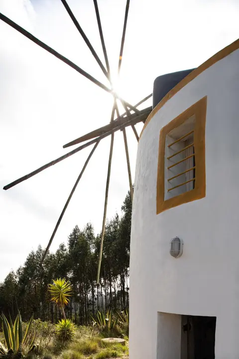 Delightful forest windmill, 10 min away from the beach