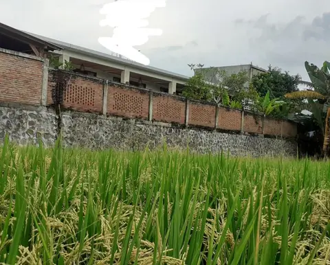 Surya Lombok Accommodation