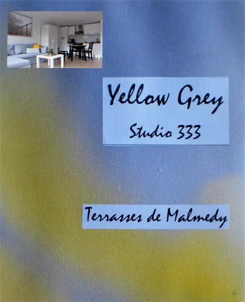 Les terrasses de Malmedy Studio 333 Yellow Grey