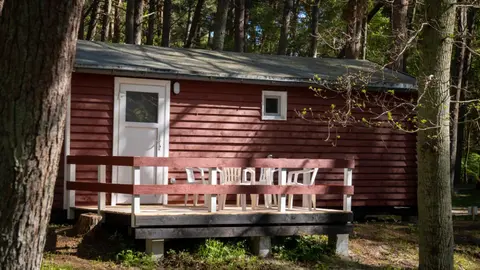 Erholung pur in der Strandhussiedlung Rügen - Bungalow Ferienwohnung - bis 5 Personen - nur 100m zum Naturstrand - mitten im Kiefernwald - Ideal für Paare