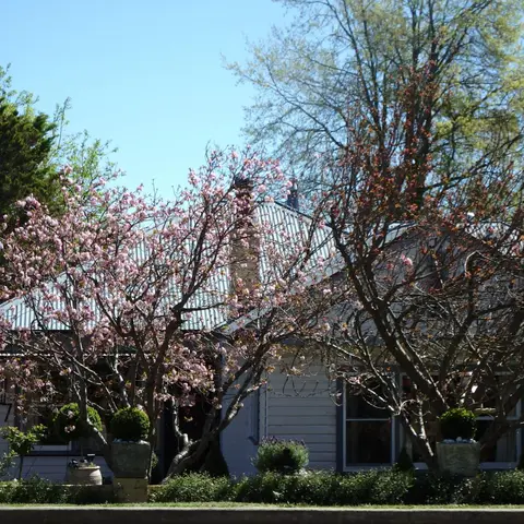 Bowral Road Art Gallery Bed and Breakfast