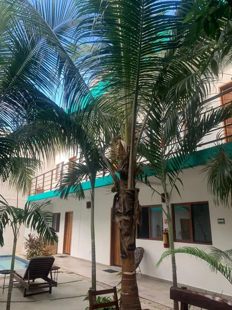 Los Arcos Hotel - TULUM