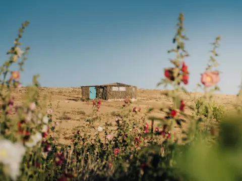 Succah in the Desert