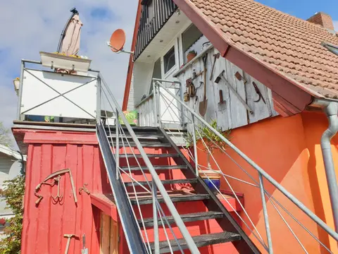 Lachmöwe
