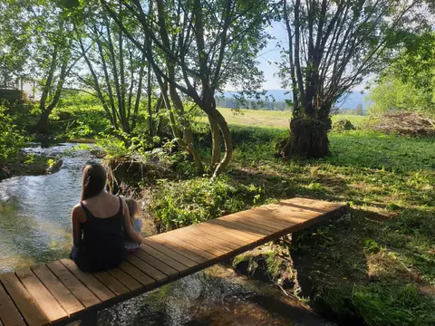 Apartament nad Przykopą
