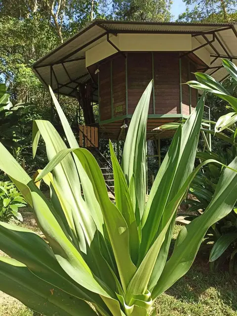 Finca Valeria Treehouses Glamping