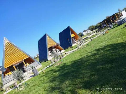 olive garden farm