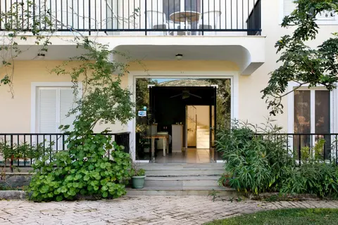 Dolphin Studio 5
