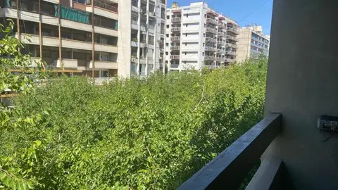 Calido
