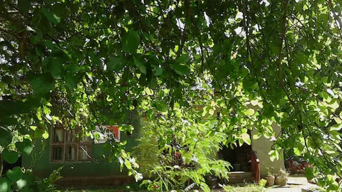 Sigiriya Vee Guest