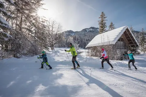 Nature Fun Apartments - Nahe Pressegger See - Skibus zum Nassfeld - Familien & Hunde willkommen