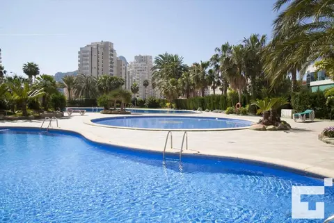 Apartamento Coralbeach 318B - Grupo Turis