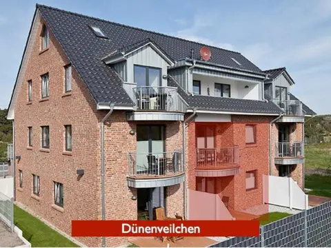 Inselzauber - Dünenveilchen