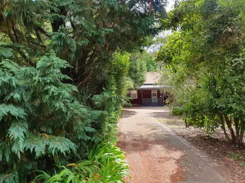 Rustic Queen of Leura